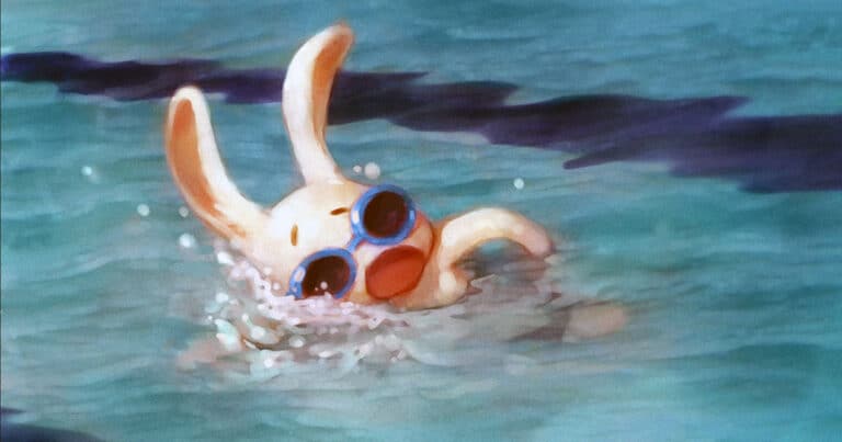Rabbit swimming